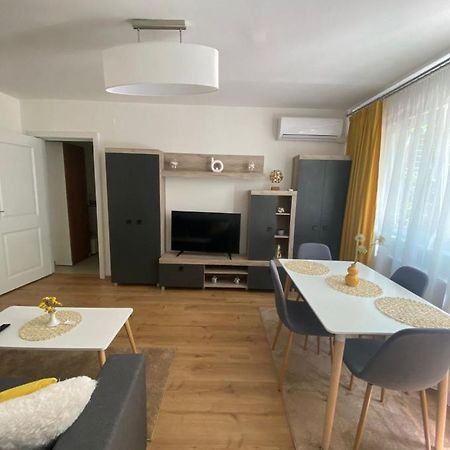 Apartamentul Gaviota Timişoara Buitenkant foto