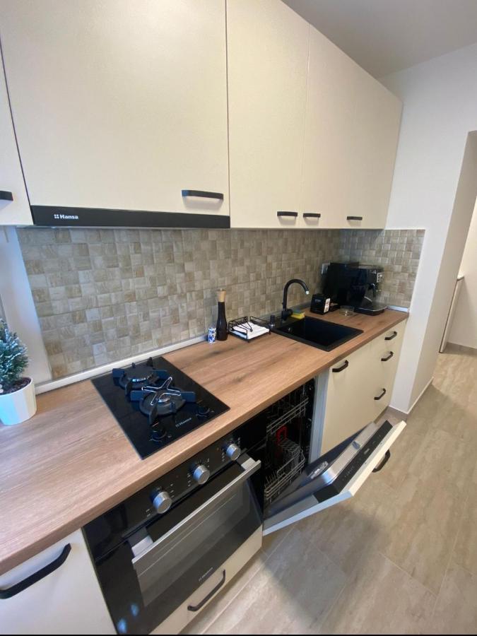 Apartamentul Gaviota Timişoara Buitenkant foto