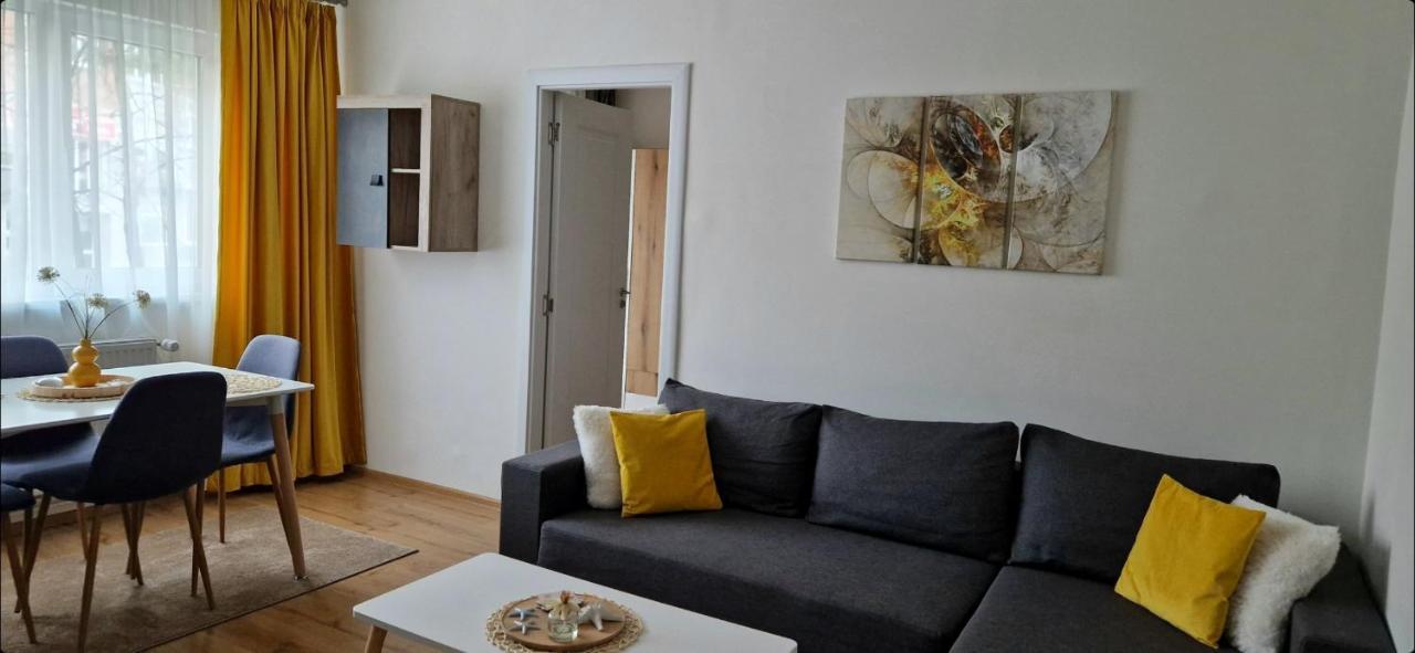 Apartamentul Gaviota Timişoara Buitenkant foto