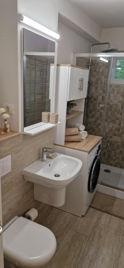 Apartamentul Gaviota Timişoara Buitenkant foto