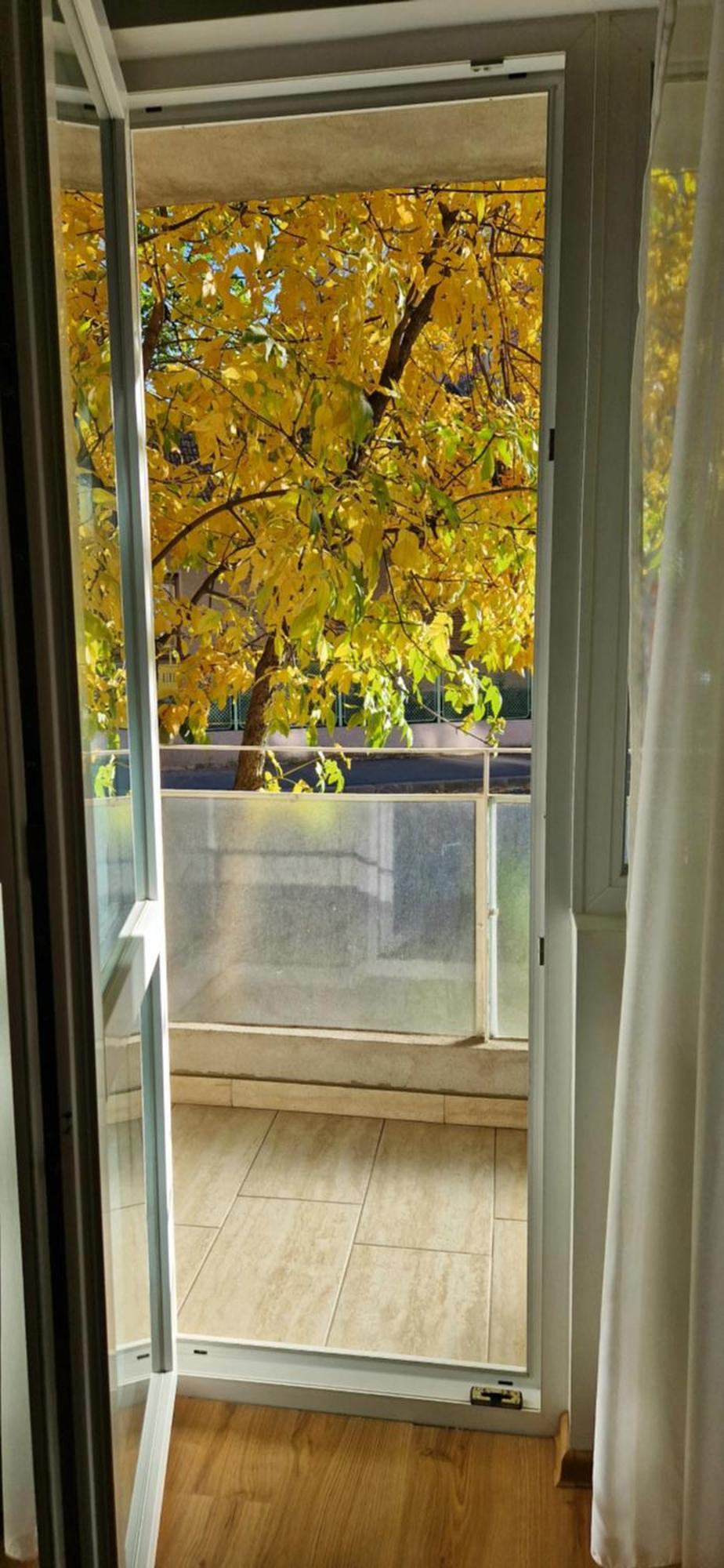 Apartamentul Gaviota Timişoara Buitenkant foto